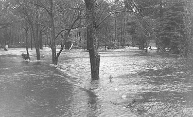 Blackwood Lane at Wire Mill Road