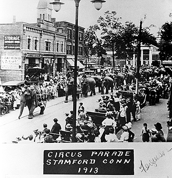 elephants leading the parade, Ferguson Library in background