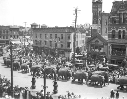 more elephants