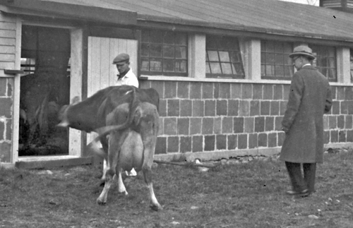 Dairy barn