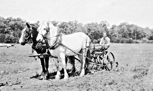 Brushwood farm prior to 1920