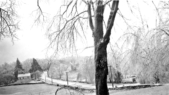 Looking down High Ridge Road from Elbert Jone's house - the first house is Cortland Jones'