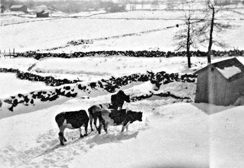 Highland Farm, Long Ridge Road