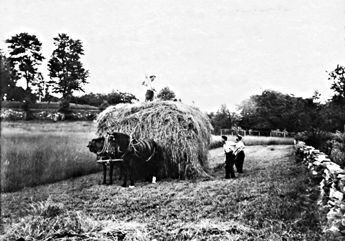 loading hay, Clason Wardwell porperty on Elm Street